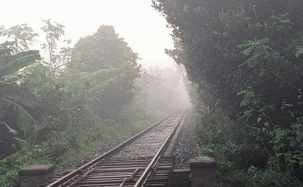 রাজশাহীতে সর্বনিম্ন তাপমাত্রা ২২.২ ডিগ্রি, কুয়াশায় শীতের বার্তা