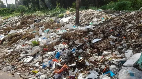 রাজশাহী বিশ্ববিদ্যালয় ক্যাম্পাস থেকে ৪০০ টন বর্জ্য অপসারণ