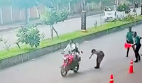 সিগন্যাল অমান্য করে পালাতে গিয়ে ধাক্কা, এসআই-কনস্টেবল আহত