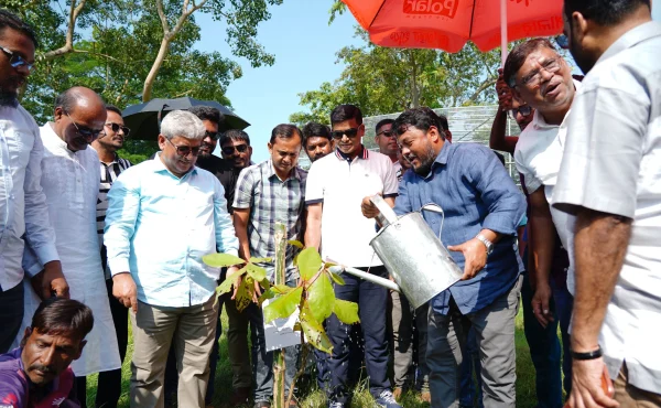 রাজশাহী কেন্দ্রীয় উদ্যান ও চিড়িয়াখানায় বৃক্ষরোপণ করলেন পানি সম্পদ প্রতিমন্ত্রী